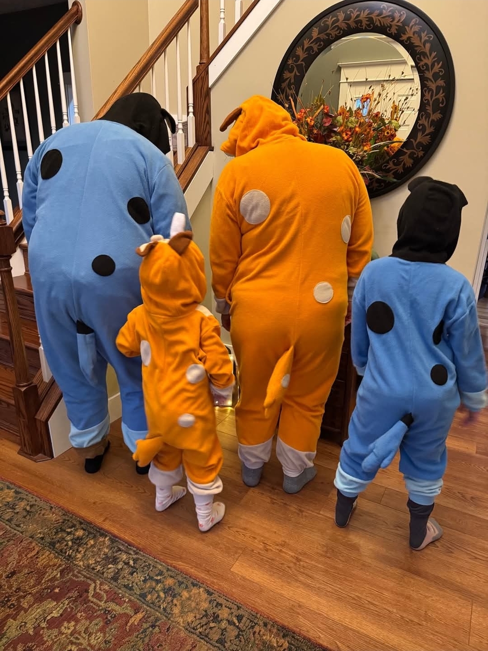 Bluey Family Cozy Fleece Onesies - Family Of 4 Halloween Costume